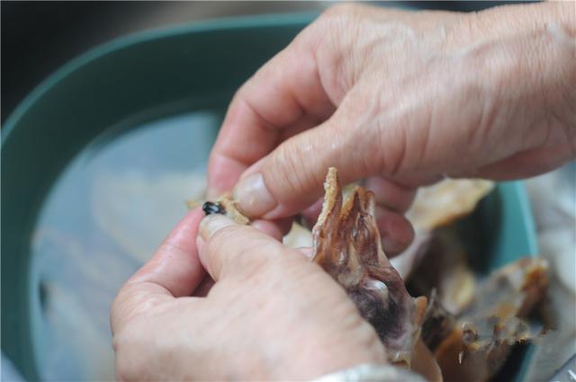 墨鱼炖排骨的做法，墨鱼炖排骨的墨鱼怎么做（<墨鱼排骨汤——清胃热、助消化>）