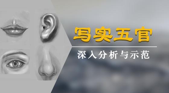 手绘板电脑绘画从入门到精通教程，手绘板是怎么绘画的