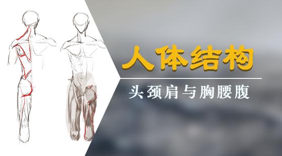 手绘板电脑绘画从入门到精通教程，手绘板是怎么绘画的