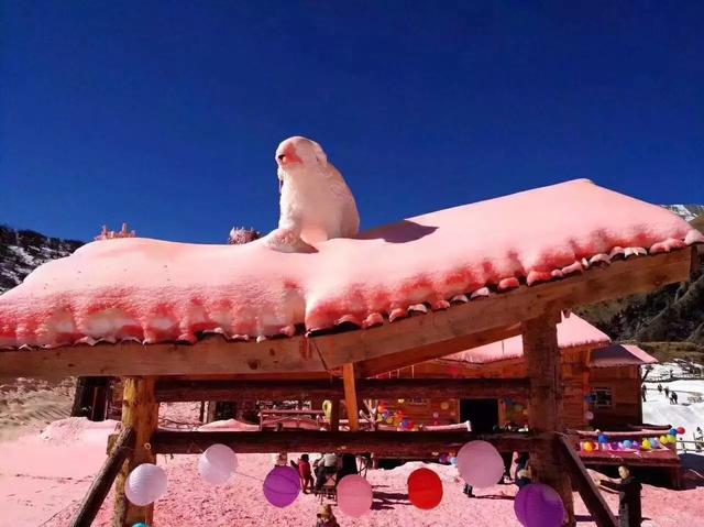 日本滑雪胜地推荐，日本TOP5滑雪胜地大揭秘