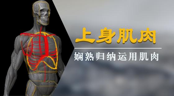 手绘板电脑绘画从入门到精通教程，手绘板是怎么绘画的