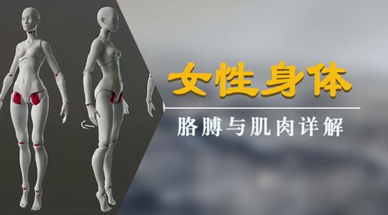 手绘板电脑绘画从入门到精通教程，手绘板是怎么绘画的