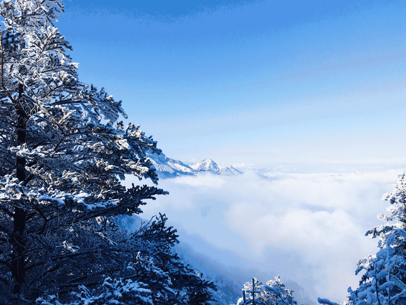 日本滑雪胜地推荐，日本TOP5滑雪胜地大揭秘