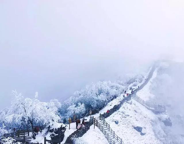 日本滑雪胜地推荐，日本TOP5滑雪胜地大揭秘