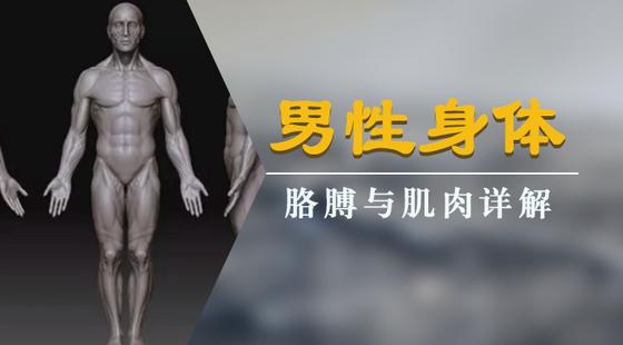 手绘板电脑绘画从入门到精通教程，手绘板是怎么绘画的