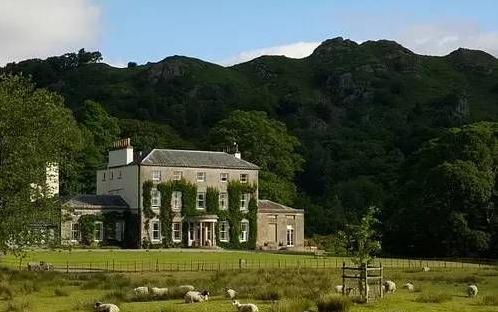 小雀斑埃迪雷德梅恩心智相投，小雀斑影帝埃迪