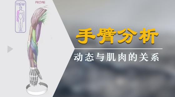 手绘板电脑绘画从入门到精通教程，手绘板是怎么绘画的