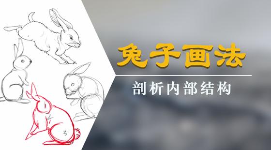 手绘板电脑绘画从入门到精通教程，手绘板是怎么绘画的