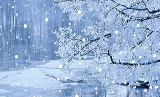 晚安爱情171226：见或不见依然思念，联不联系都没忘记