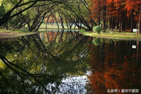 祥峪森林公园有什么可以玩的景点，祥峪森林公园