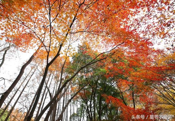 祥峪森林公园有什么可以玩的景点，祥峪森林公园