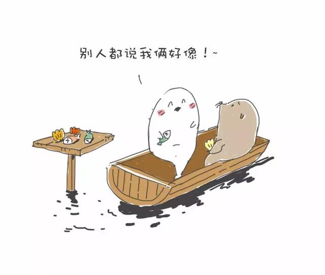 海豹和海狮的区别图片，海狮跟海豹的区别（你还傻傻分不清吗）