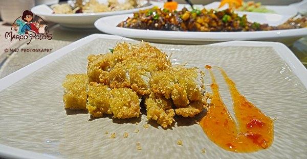 马可波罗游记云南，马可波罗花世界里穿越约起