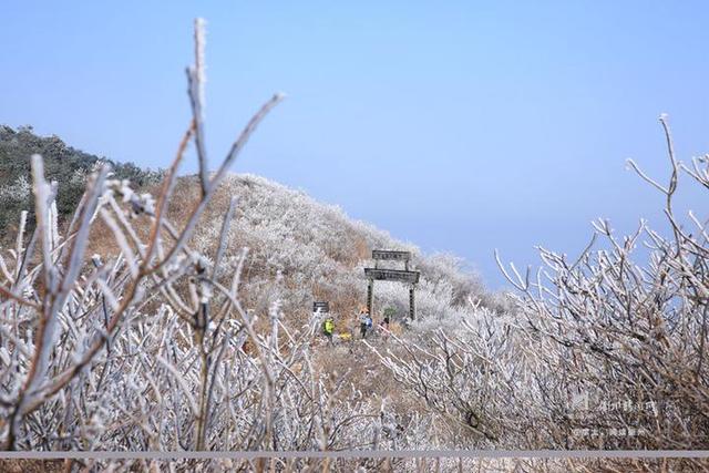这是你见过最美的雪景，赏家门口的最美雪景