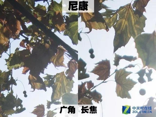 佳能大三元镜头，大三元镜头选哪个（超广镜头怎么买）