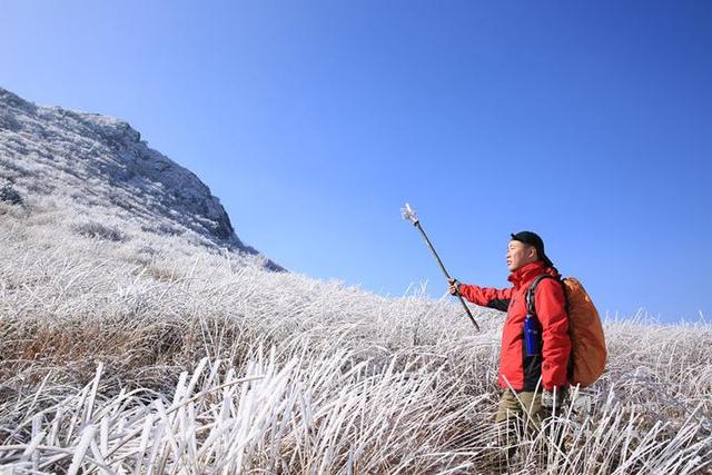 这是你见过最美的雪景，赏家门口的最美雪景