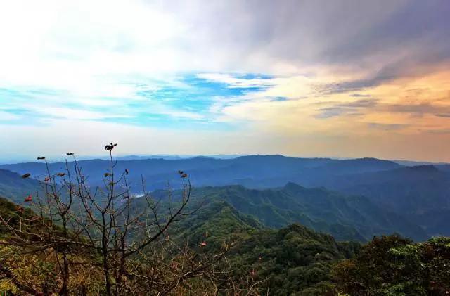 重庆市区旅游必去景点，重庆市区值得去的十大景点（市区必去7大景点盘点）