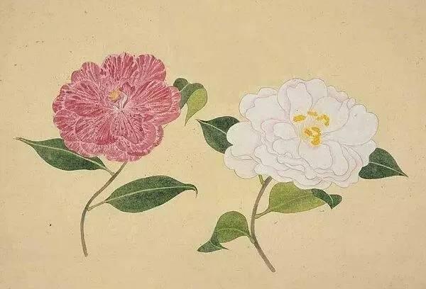 燕子归时枫林红，枫林红，，刘振勋