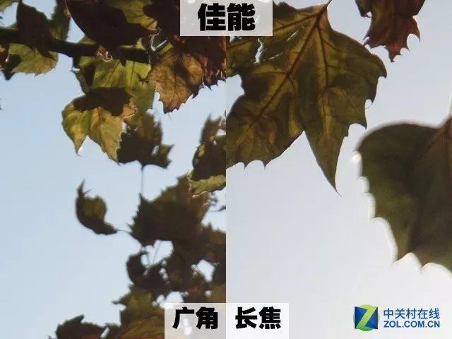 佳能大三元镜头，大三元镜头选哪个（超广镜头怎么买）