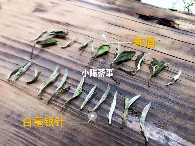 福鼎白茶白毫银针收藏价值，图文讲述白茶里的等级
