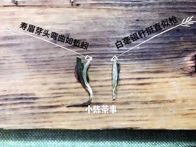 福鼎白茶白毫银针收藏价值，图文讲述白茶里的等级