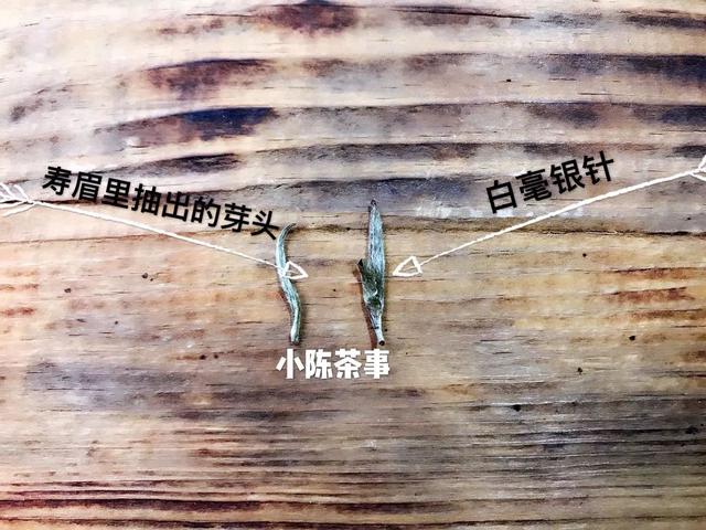 福鼎白茶白毫银针收藏价值，图文讲述白茶里的等级