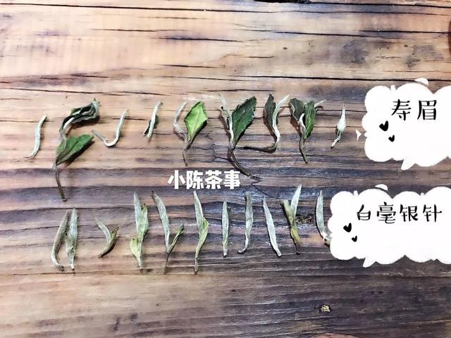 福鼎白茶白毫银针收藏价值，图文讲述白茶里的等级