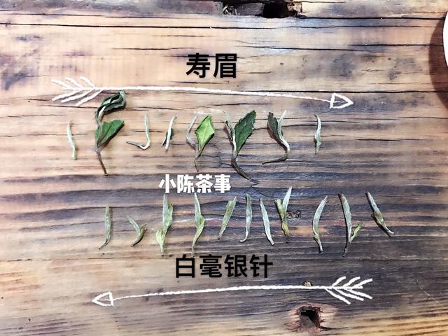 福鼎白茶白毫银针收藏价值，图文讲述白茶里的等级