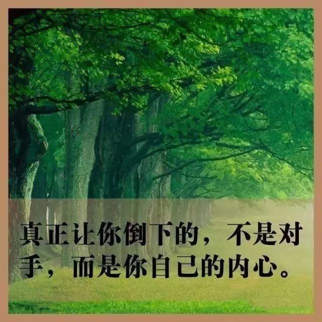 早安正能量语句190325：只有成为生活的主人，才能被生活所成就