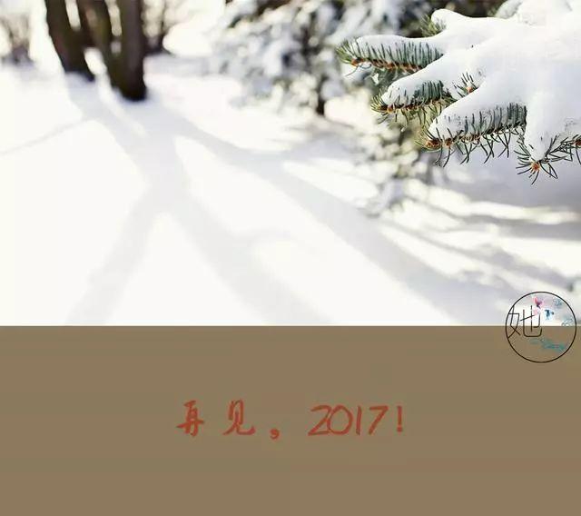 午安文字180101：挥别2017