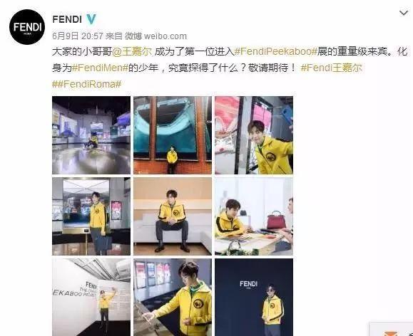 王嘉尔为什么被封杀，王嘉尔打假（首位参加音乐节的中国人）