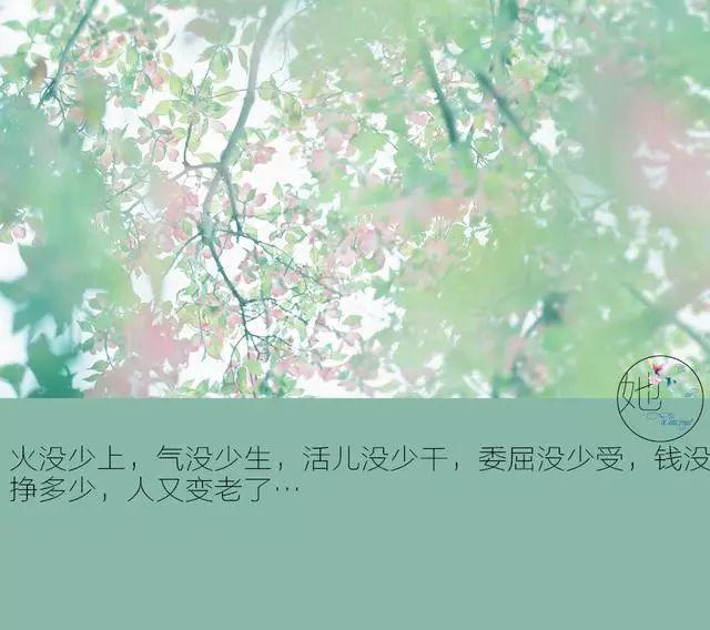 午安文字180101：挥别2017
