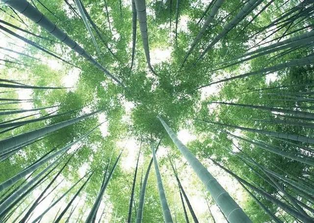 晚安句子180103：自问我可以赢你，但喜欢输给你