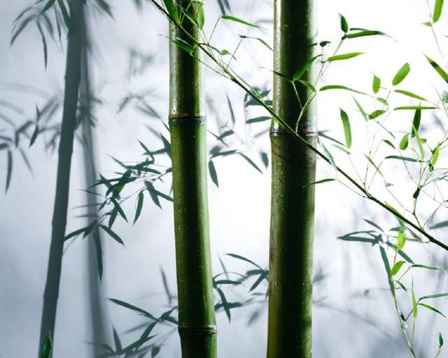 晚安句子180103：自问我可以赢你，但喜欢输给你