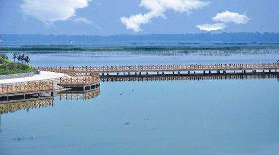 菏泽单县古代属于哪个省，山东单县----汉朝第一位皇后故里