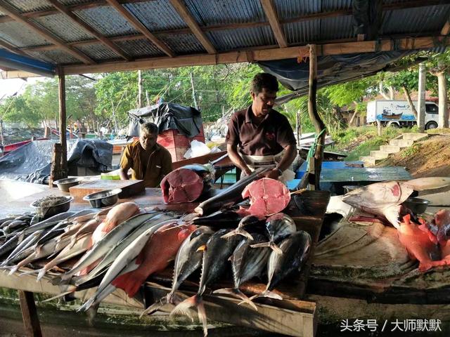 到斯里兰卡旅游的签证要求，旅行达人教你怎么玩斯里兰卡