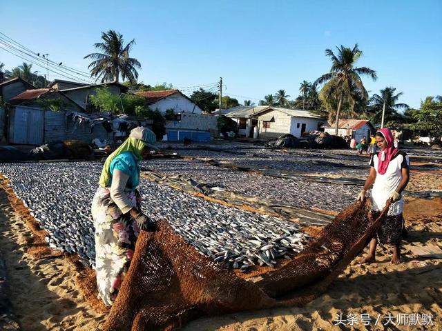 到斯里兰卡旅游的签证要求，旅行达人教你怎么玩斯里兰卡