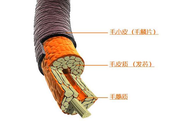 摩洛哥护发精油怎么用，护发精油其实是硅油