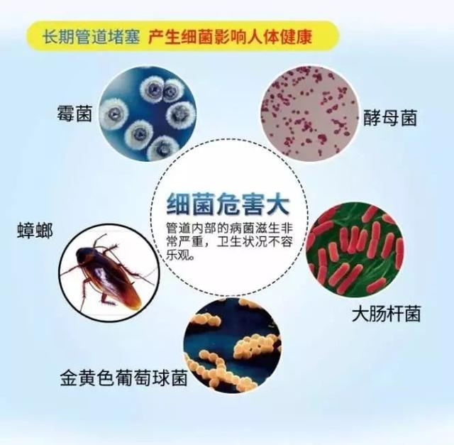 10款快速疏通不求人的管道疏通剂，好用的管道疏通剂推荐哪一款