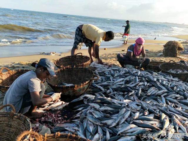 到斯里兰卡旅游的签证要求，旅行达人教你怎么玩斯里兰卡