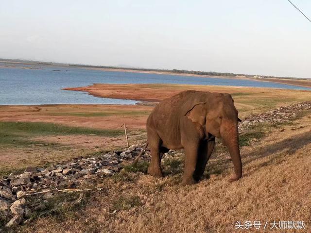 到斯里兰卡旅游的签证要求，旅行达人教你怎么玩斯里兰卡