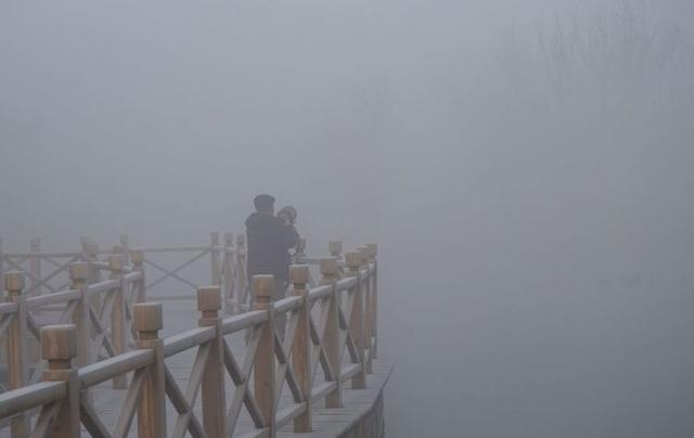 盐城市丹顶鹤自然保护区简介，探访江苏盐城丹顶鹤湿地保护区