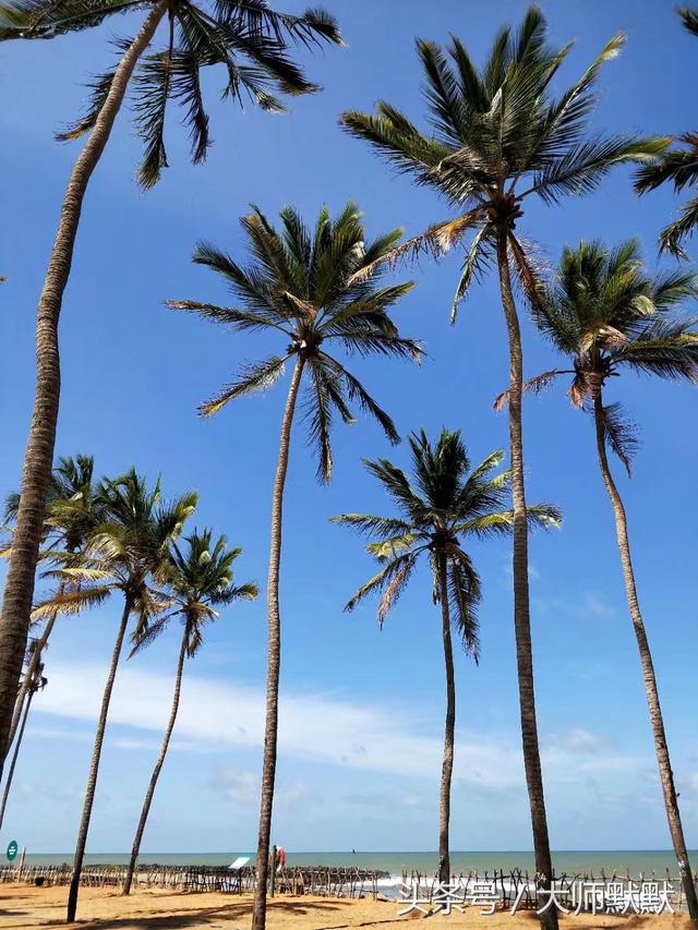 到斯里兰卡旅游的签证要求，旅行达人教你怎么玩斯里兰卡