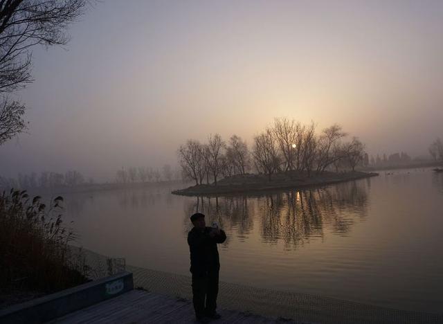 盐城市丹顶鹤自然保护区简介，探访江苏盐城丹顶鹤湿地保护区