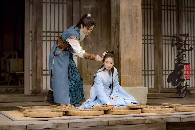 梅长苏的真实身份，琅琊榜中梅长苏的真实身份