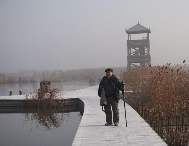 盐城市丹顶鹤自然保护区简介，探访江苏盐城丹顶鹤湿地保护区