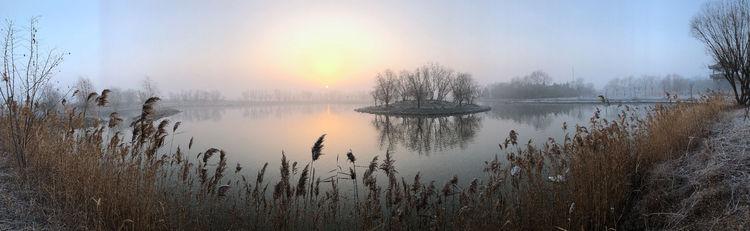 盐城市丹顶鹤自然保护区简介，探访江苏盐城丹顶鹤湿地保护区