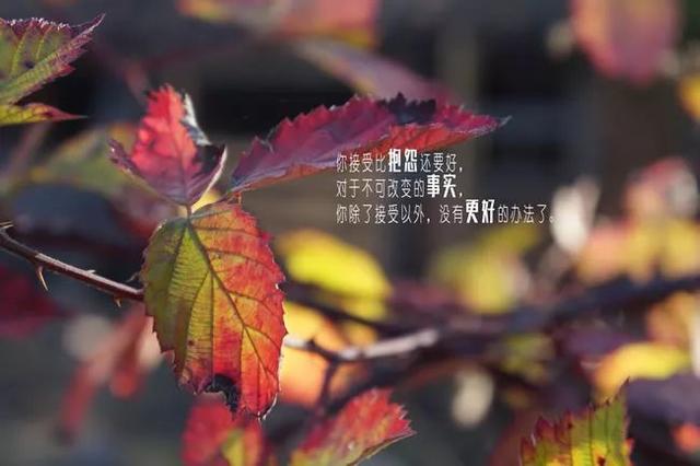 早安心语正能量180226：有理想，有目标，攒足力量向前冲
