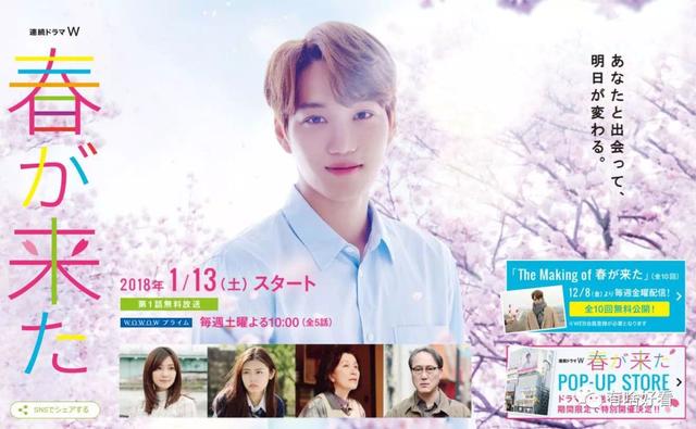 45岁的木村保镖34岁的松本律师，日剧侦探专业户