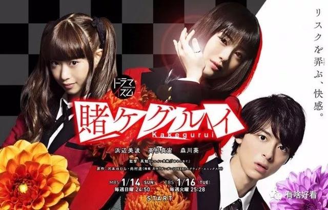 45岁的木村保镖34岁的松本律师，日剧侦探专业户